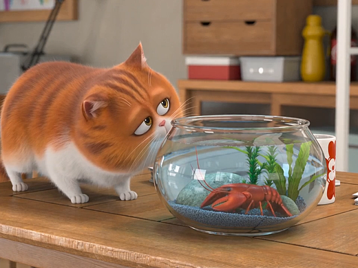 虾戏猫