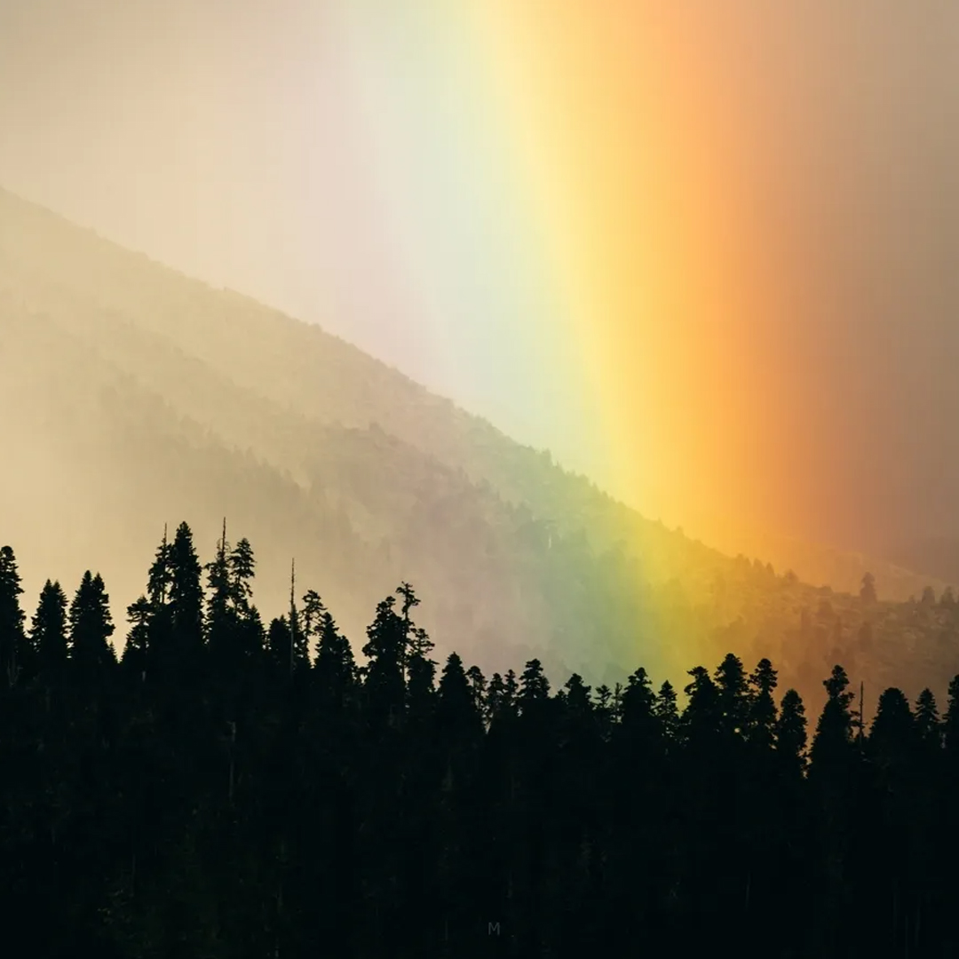 林初稿的個(gè)人主頁(yè)（背景預(yù)覽） - 主頁(yè)背景設(shè)置 - 站酷設(shè)計(jì)師林初稿原創(chuàng)素材 - 站酷ZCOOL