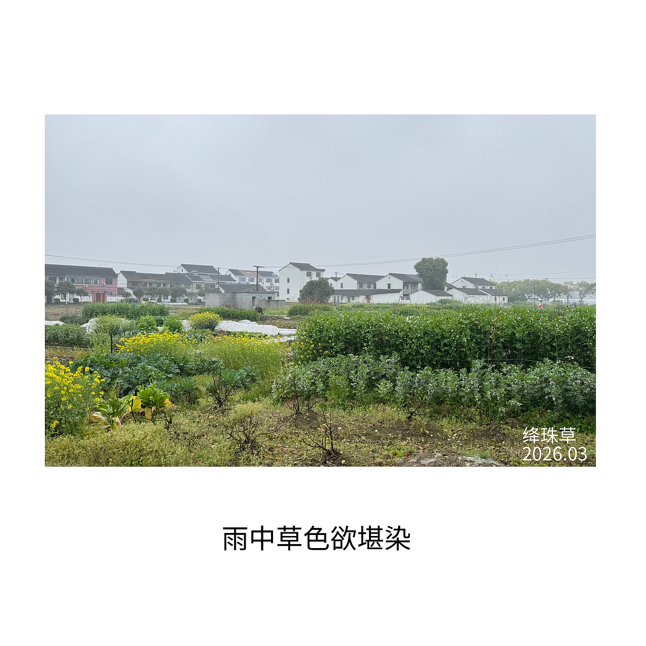 烟雨小村又（图ZNDA0ODUxMzMy） - 人文/纪实摄影 - 站酷设计师绛珠草lin原创素材 - 站酷ZCOOL