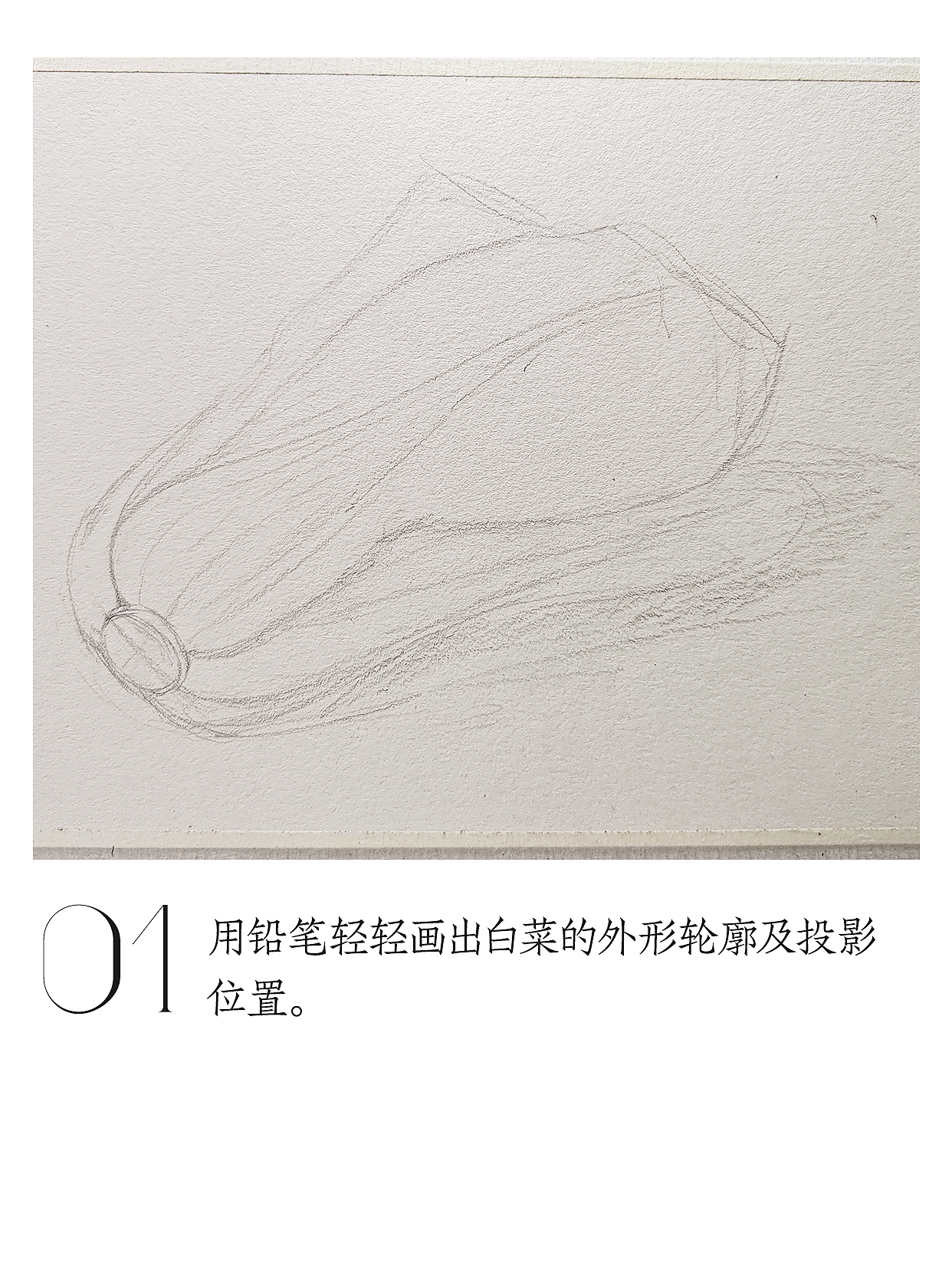 油畫棒教程 | 輕松繪制小白菜（圖ZNDA0ODUxNzQ4） - 繪畫 - 站酷設(shè)計(jì)師天藍(lán)空空空原創(chuàng)素材 - 站酷ZCOOL