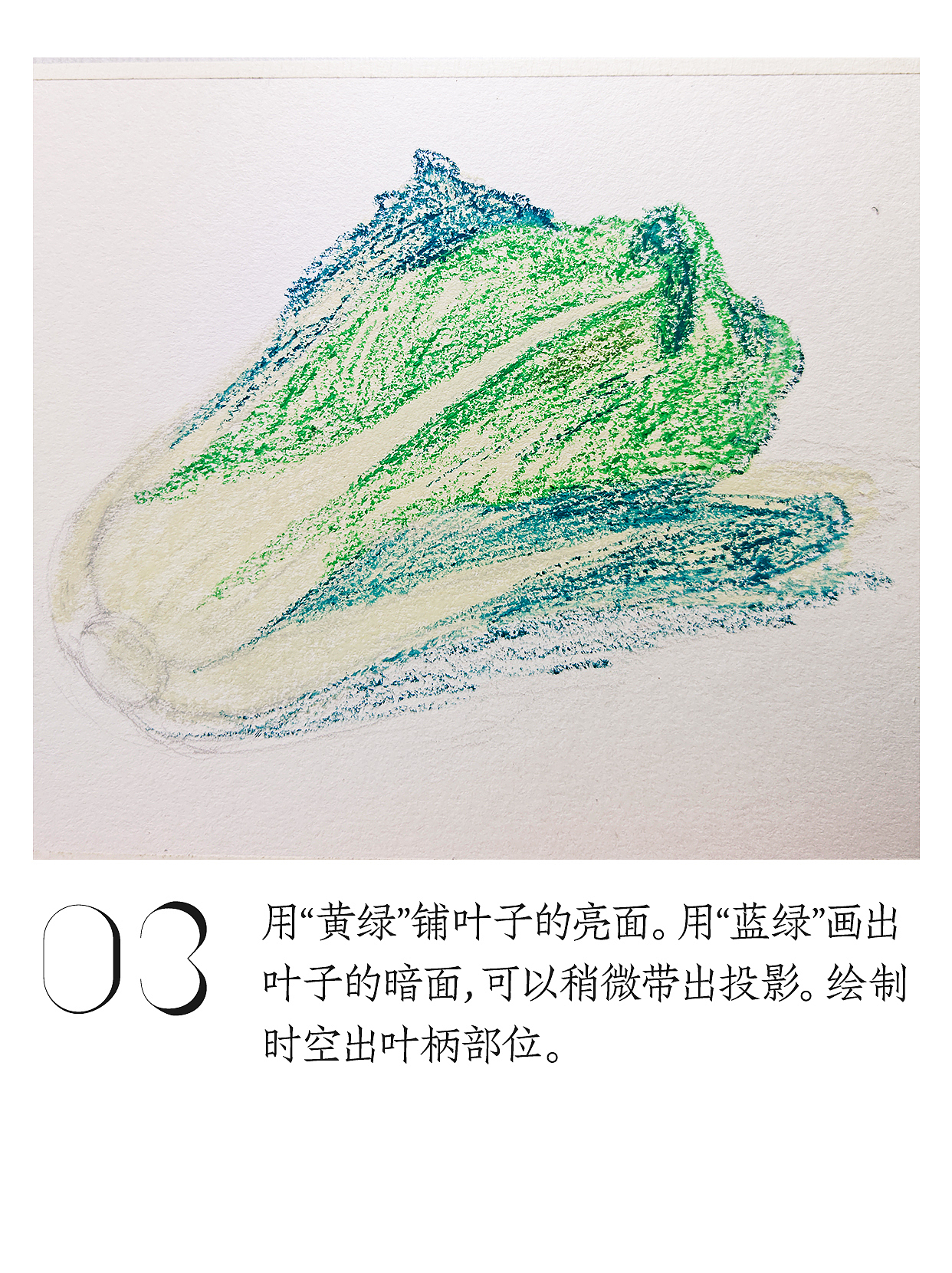 油畫棒教程 | 輕松繪制小白菜（圖ZNDA0ODUxNzU2） - 繪畫 - 站酷設(shè)計(jì)師天藍(lán)空空空原創(chuàng)素材 - 站酷ZCOOL