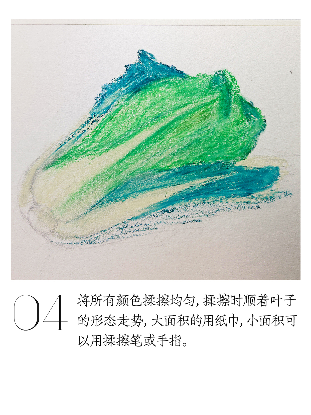 油畫棒教程 | 輕松繪制小白菜（圖ZNDA0ODUxNzYw） - 繪畫 - 站酷設(shè)計(jì)師天藍(lán)空空空原創(chuàng)素材 - 站酷ZCOOL