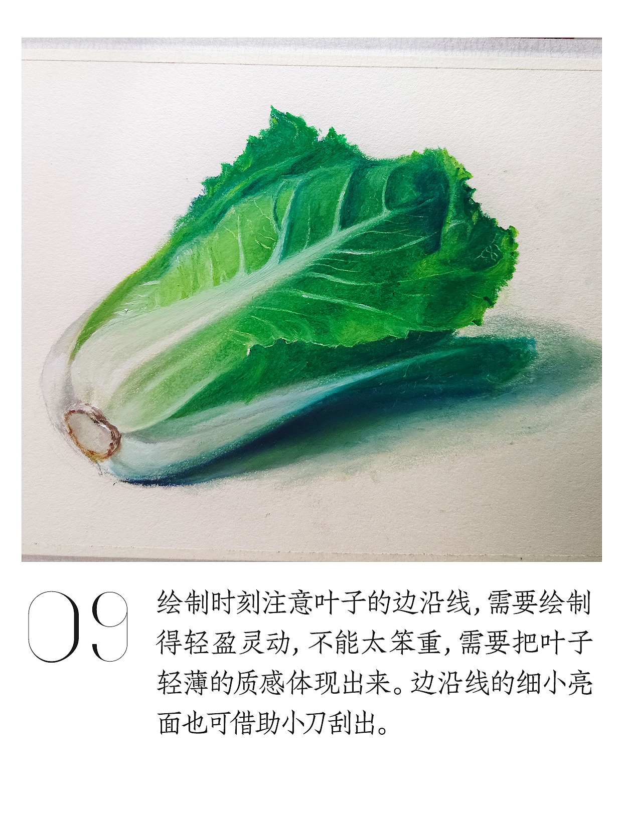 油畫棒教程 | 輕松繪制小白菜（圖ZNDA0ODUxNzgw） - 繪畫 - 站酷設(shè)計(jì)師天藍(lán)空空空原創(chuàng)素材 - 站酷ZCOOL