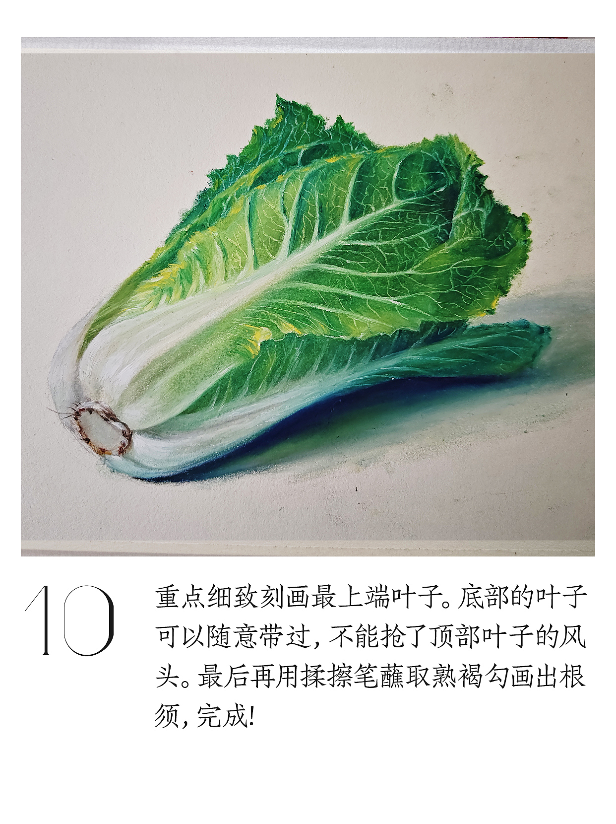 油畫棒教程 | 輕松繪制小白菜（圖ZNDA0ODUxNzg0） - 繪畫 - 站酷設(shè)計(jì)師天藍(lán)空空空原創(chuàng)素材 - 站酷ZCOOL