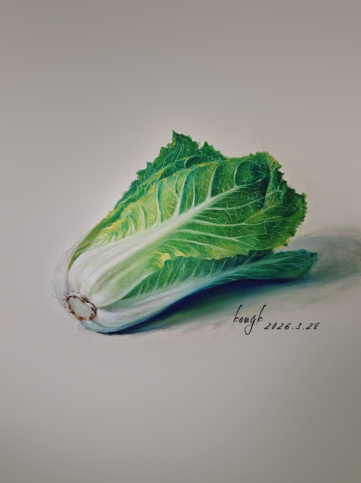 油畫棒教程 | 輕松繪制小白菜（圖ZNDA0ODUxODE2） - 繪畫 - 站酷設(shè)計(jì)師天藍(lán)空空空原創(chuàng)素材 - 站酷ZCOOL