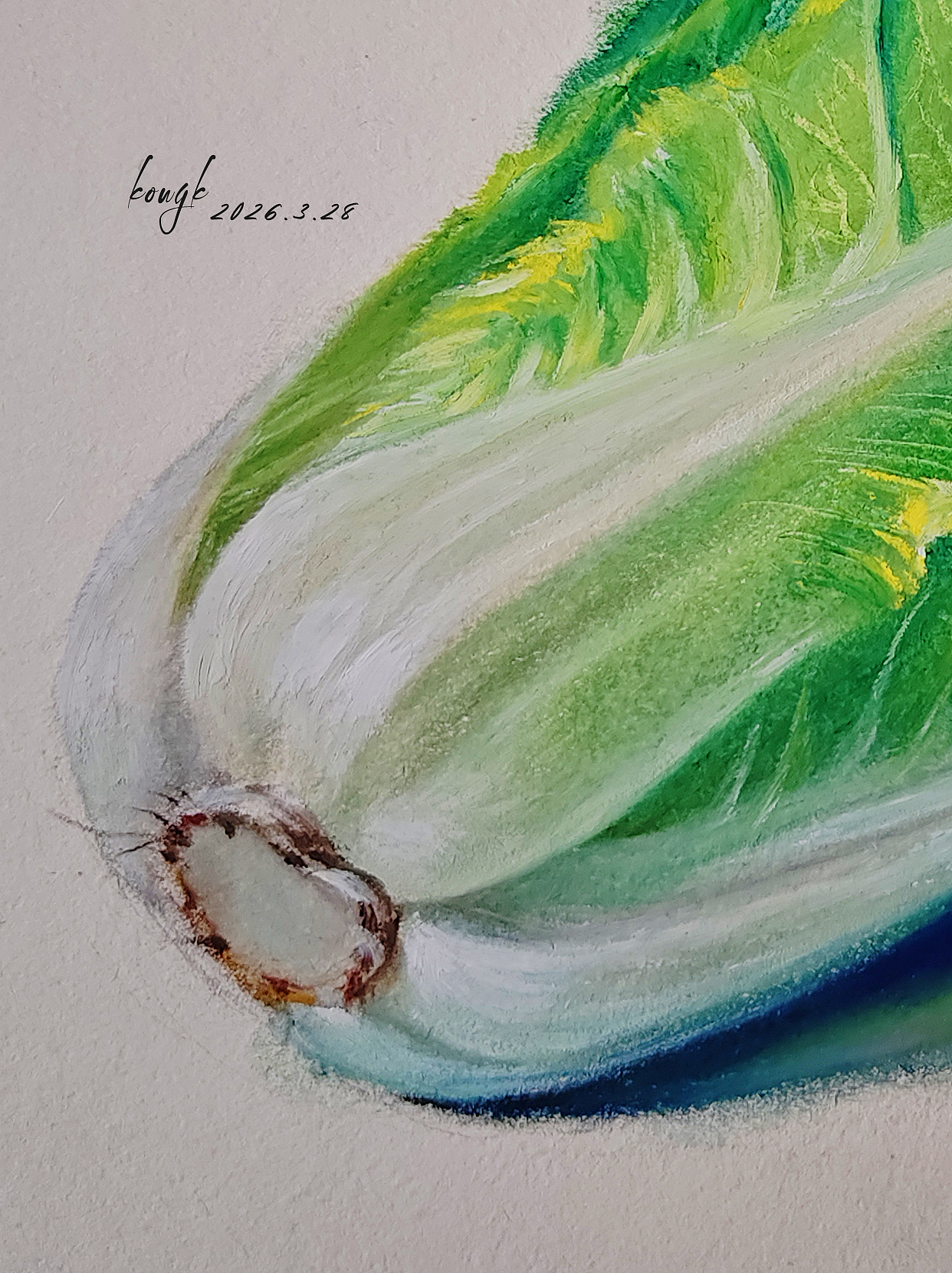 油畫棒教程 | 輕松繪制小白菜（圖ZNDA0ODUxODIw） - 繪畫 - 站酷設(shè)計(jì)師天藍(lán)空空空原創(chuàng)素材 - 站酷ZCOOL