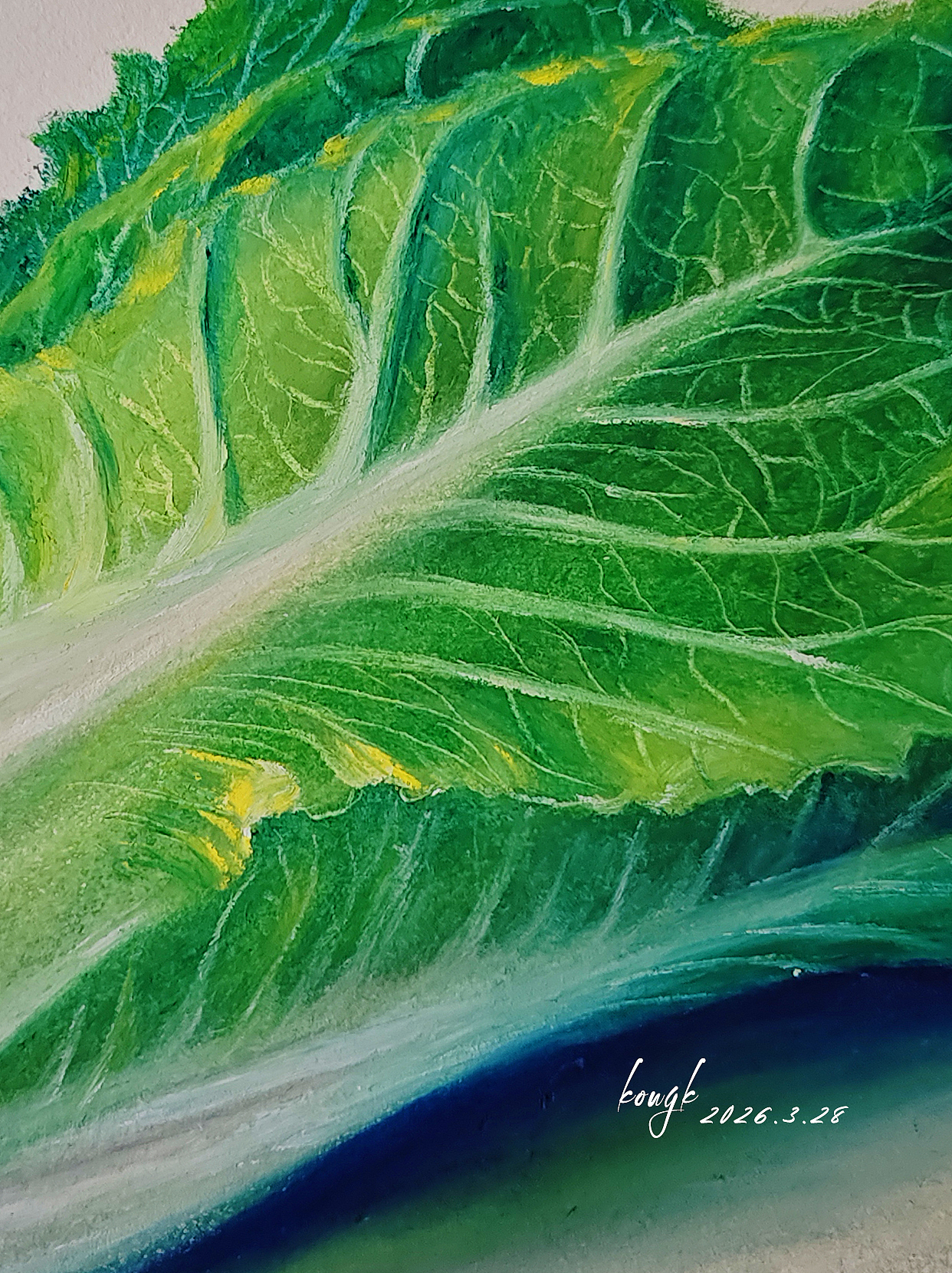 油畫棒教程 | 輕松繪制小白菜（圖ZNDA0ODUxODI0） - 繪畫 - 站酷設(shè)計(jì)師天藍(lán)空空空原創(chuàng)素材 - 站酷ZCOOL