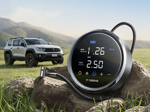 TORRAS-2025工作节选