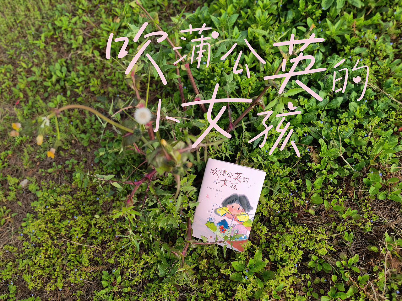 书籍设计｜《吹蒲公英的小女孩》（图ZNDA0ODc1MjU2） - 书籍/画册 - 站酷设计师喵咕噜123原创素材 - 站酷ZCOOL