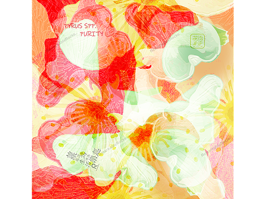 #花语手记##创意小海报设计#梨花花语