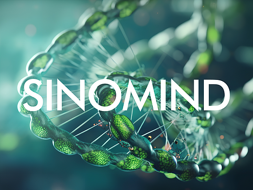 新中明/Sinomind Brand Design