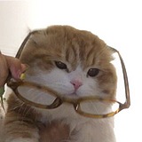 懵懵小南的头像