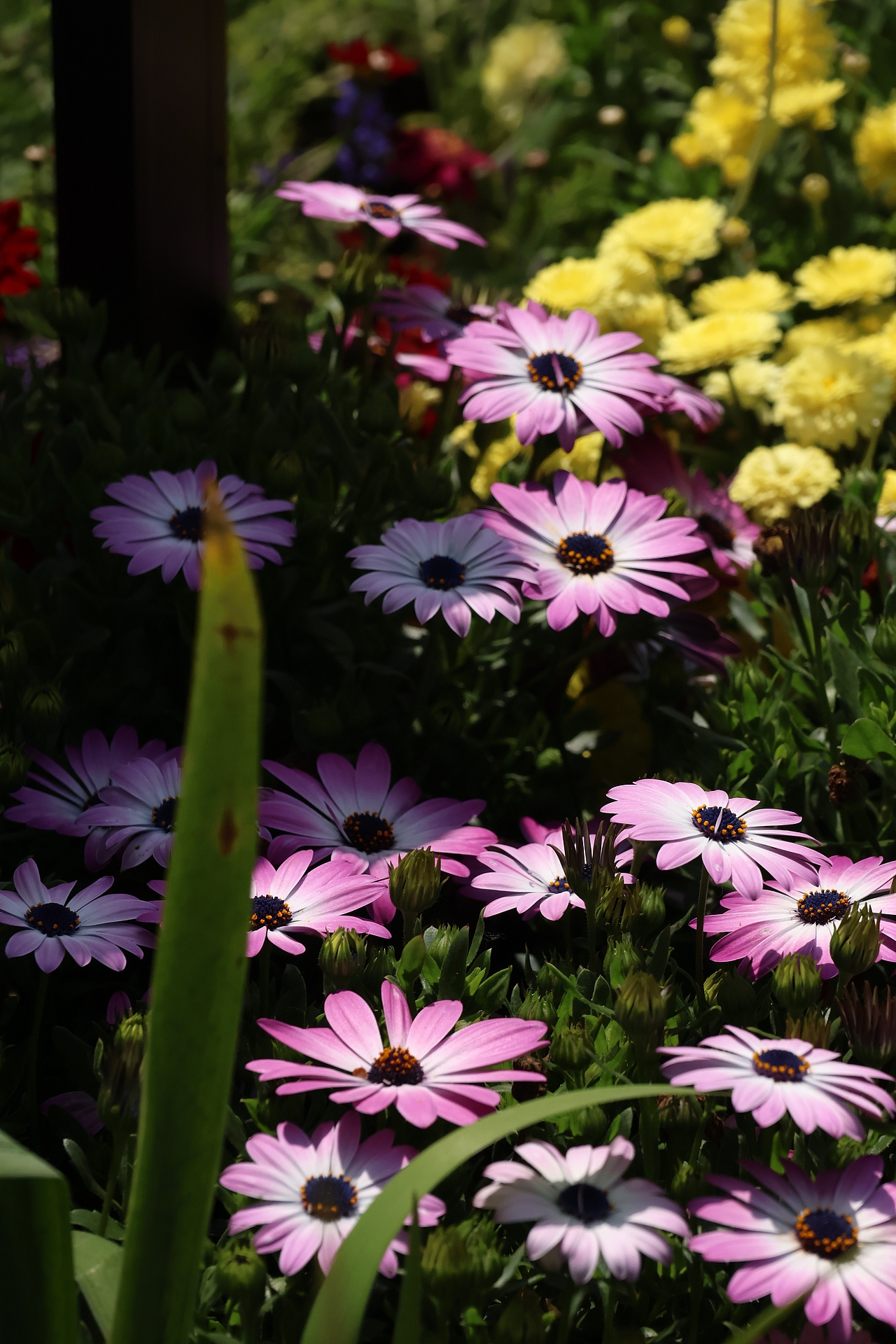 春和景明（图ZNDA0ODkxMDcy） - 风光摄影 - 站酷设计师爱吃辣条的孟令原创素材 - 站酷ZCOOL