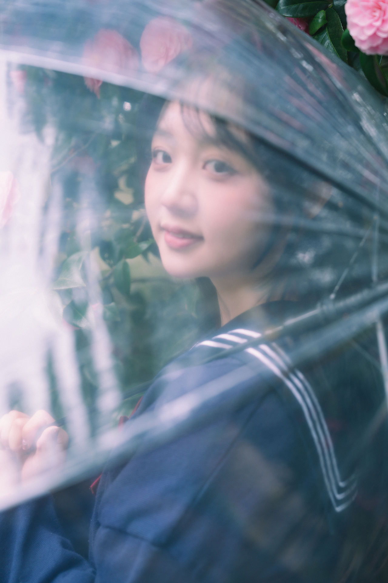 山茶花（图ZNDA0ODkxMzUy） - 人像摄影 - 站酷设计师初夏_雨原创素材 - 站酷ZCOOL