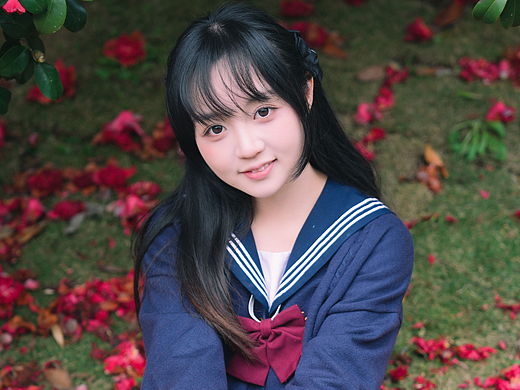 山茶花