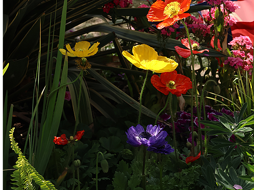 春和景明（個人主頁-ZNzMzOTEyNzI=） - 風(fēng)光攝影 - 站酷設(shè)計師愛吃辣條的孟令原創(chuàng)素材 - 站酷ZCOOL