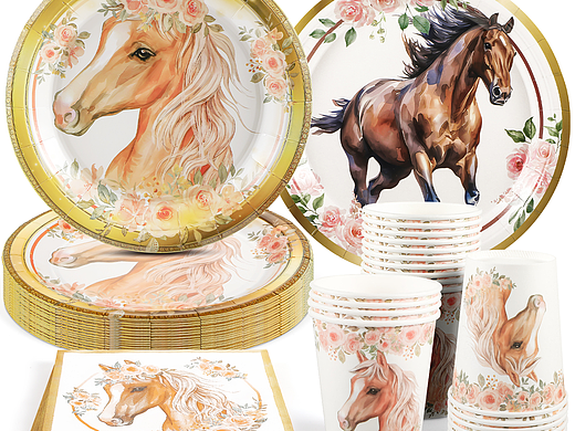 亚马逊主图--生日盘子