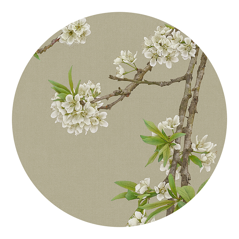 又是春花香，繁花满芬芳。（图ZNDA0OTA3NzE2） - 修图/后期 - 站酷设计师何斌先生原创素材 - 站酷ZCOOL