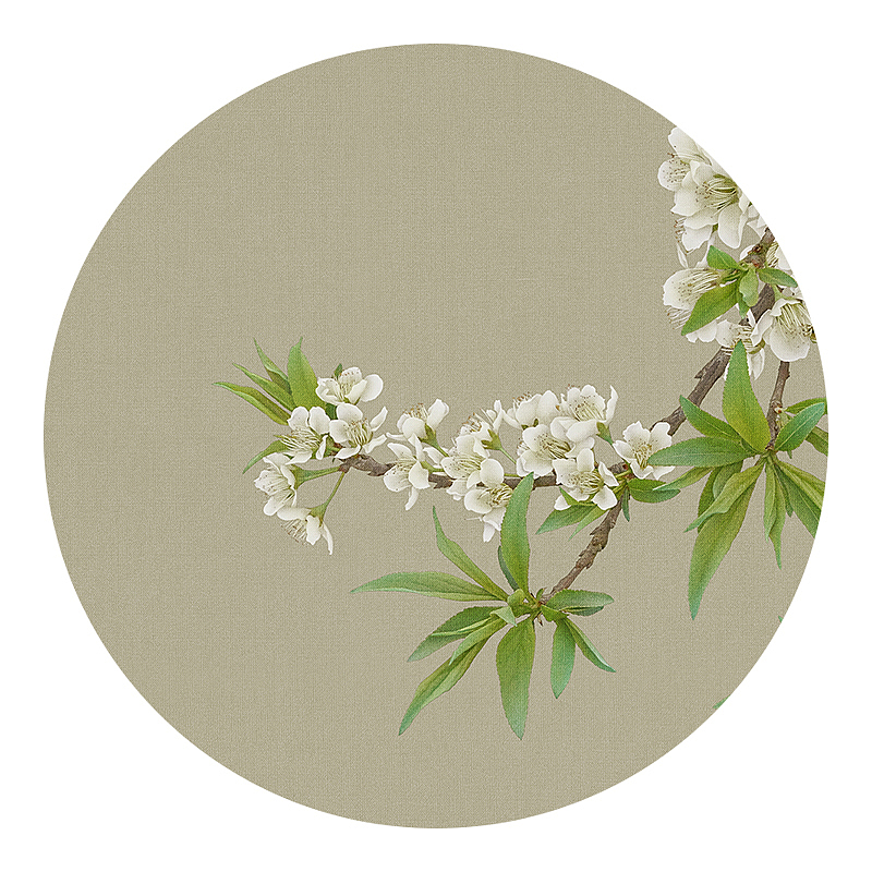 又是春花香，繁花满芬芳。（图ZNDA0OTA3NzEy） - 修图/后期 - 站酷设计师何斌先生原创素材 - 站酷ZCOOL