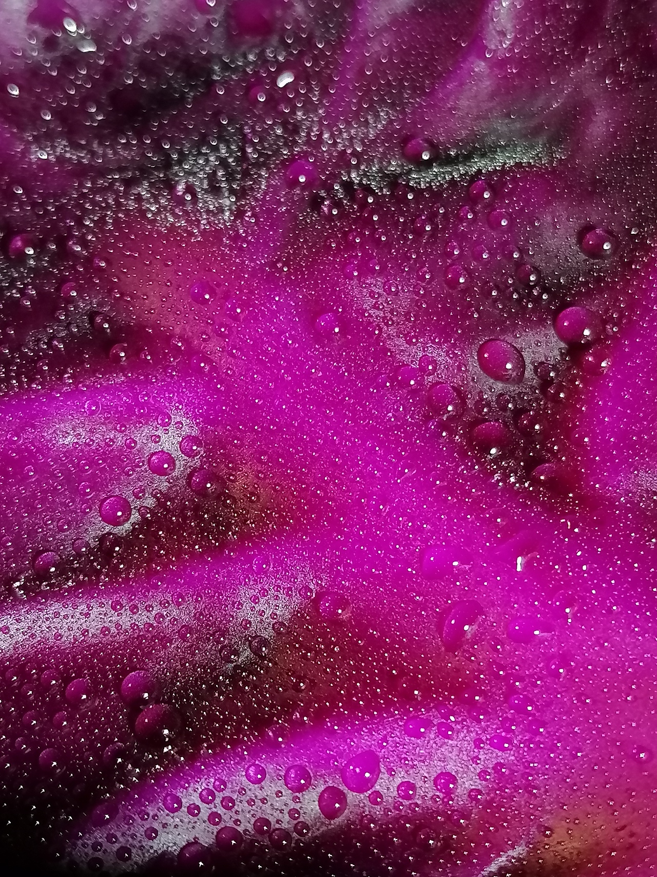 紫甘蓝的微观宇宙（图ZNDA0OTE0OTI4） - 美食摄影 - 站酷设计师摄影师国庆原创素材 - 站酷ZCOOL