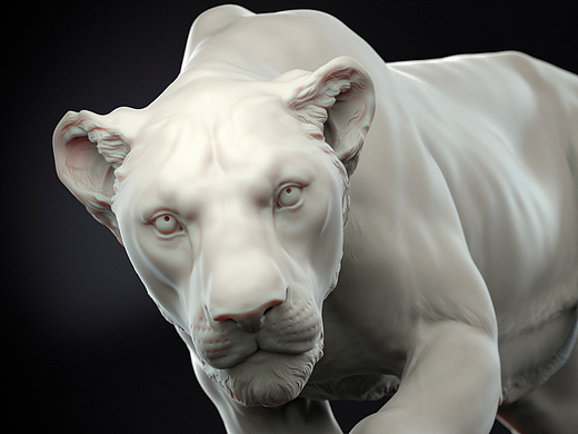写实裸模狮子模型展示，zbrush雕刻