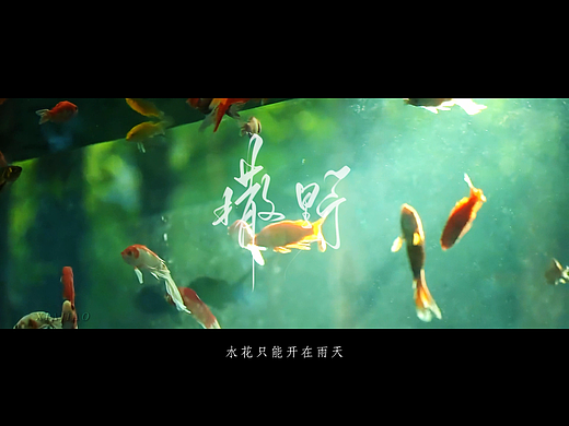 自媒体剪辑（小说向）