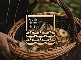 适合的背景