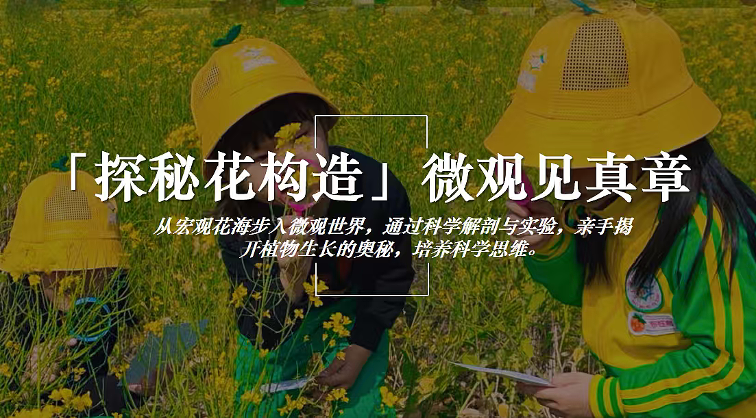 2026花田油礼探春知趣春日油菜花主题田园体验研学（图ZNDA0OTc5MzY4） - 文案/策划 - 站酷设计师精英策划圈可分享原创素材 - 站酷ZCOOL