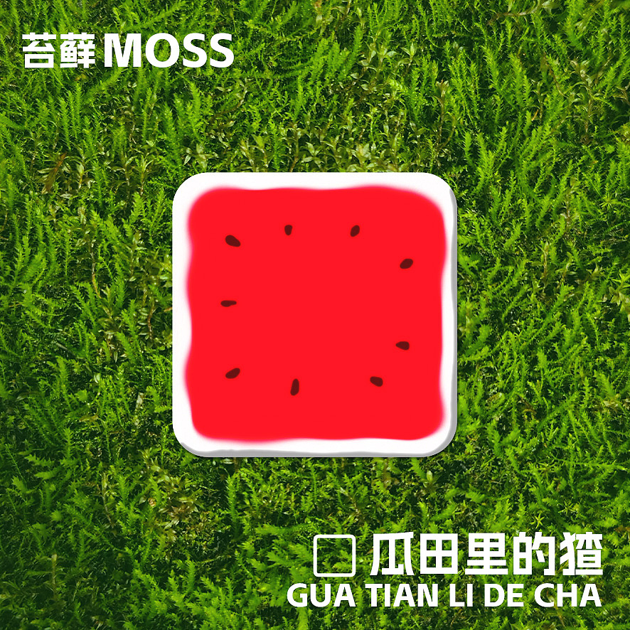 苔藓微景《瓜田里的猹》（图ZNDA0OTgwNDUy） - 其他手工艺 - 站酷设计师冰美式16oz原创素材 - 站酷ZCOOL