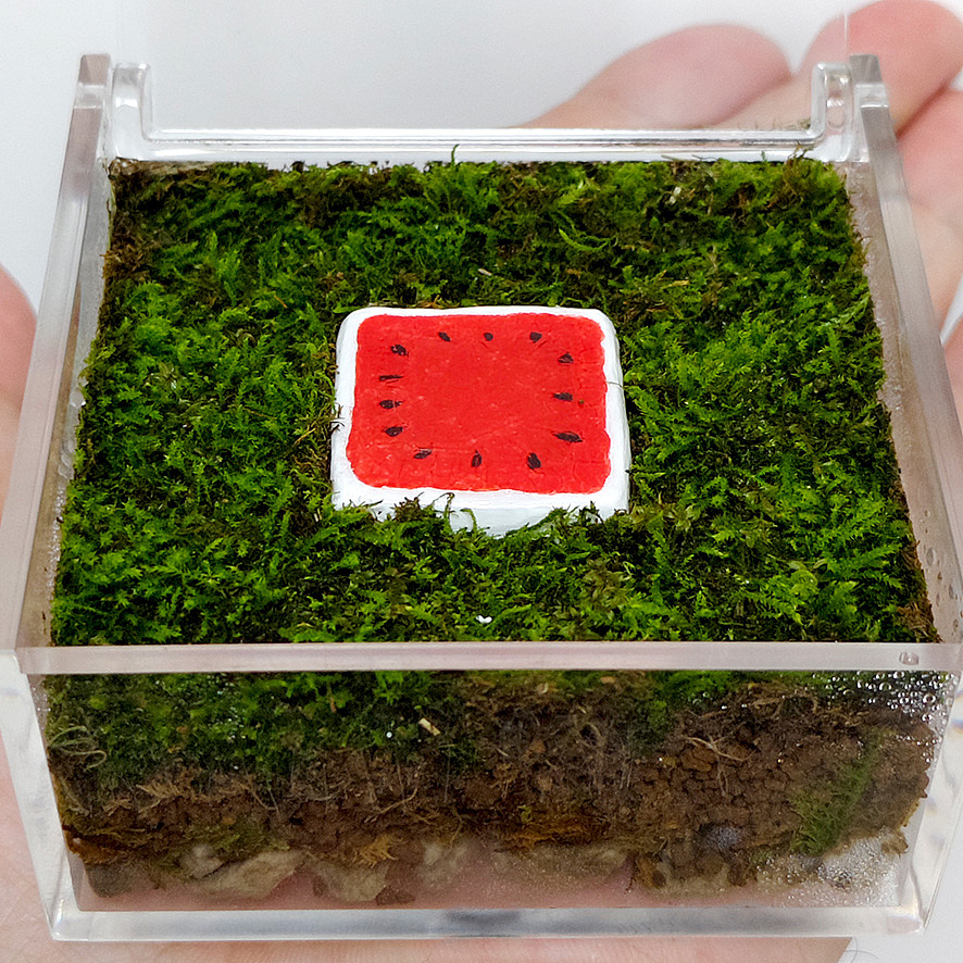 苔藓微景《瓜田里的猹》（图ZNDA0OTgwNDU2） - 其他手工艺 - 站酷设计师冰美式16oz原创素材 - 站酷ZCOOL