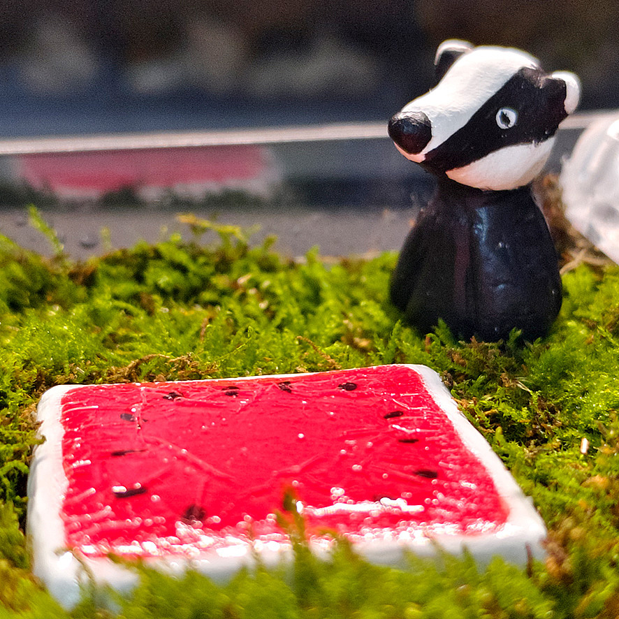 苔藓微景《瓜田里的猹》（图ZNDA0OTgwNDYw） - 其他手工艺 - 站酷设计师冰美式16oz原创素材 - 站酷ZCOOL