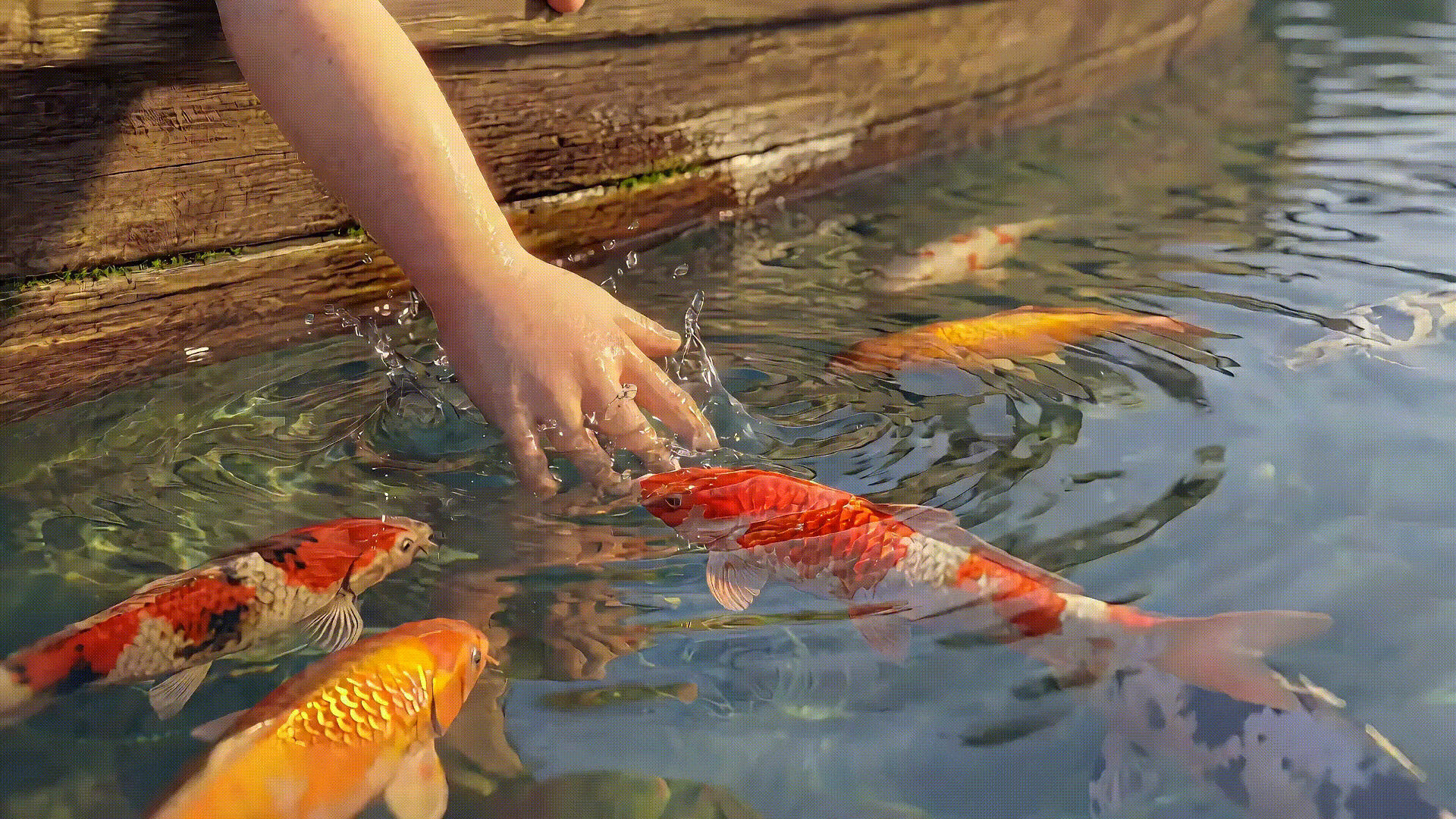 离谱的大8-触手可及的桃花源（图ZNDA0OTgxNDcy） - AI作品 - 站酷设计师GUUYU郭宇原创素材 - 站酷ZCOOL