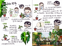 日常记录（电子手帐）