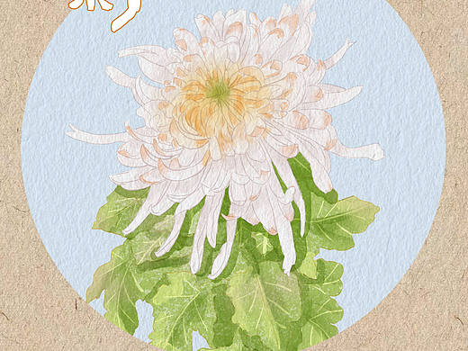 清明赏菊寄相思