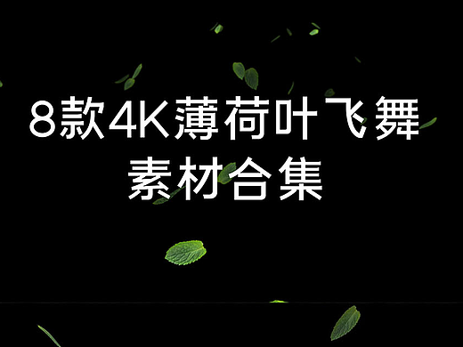 8款4K带通道款薄荷叶素材朱朱蹄