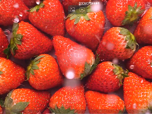 东像美食 武汉东像摄影 武汉东像文化传播有限公司