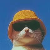 带着墨镜看太阳的头像