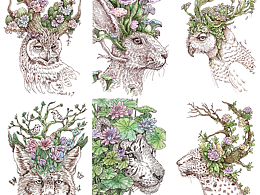 原创插画丨动植物共生系列（三）