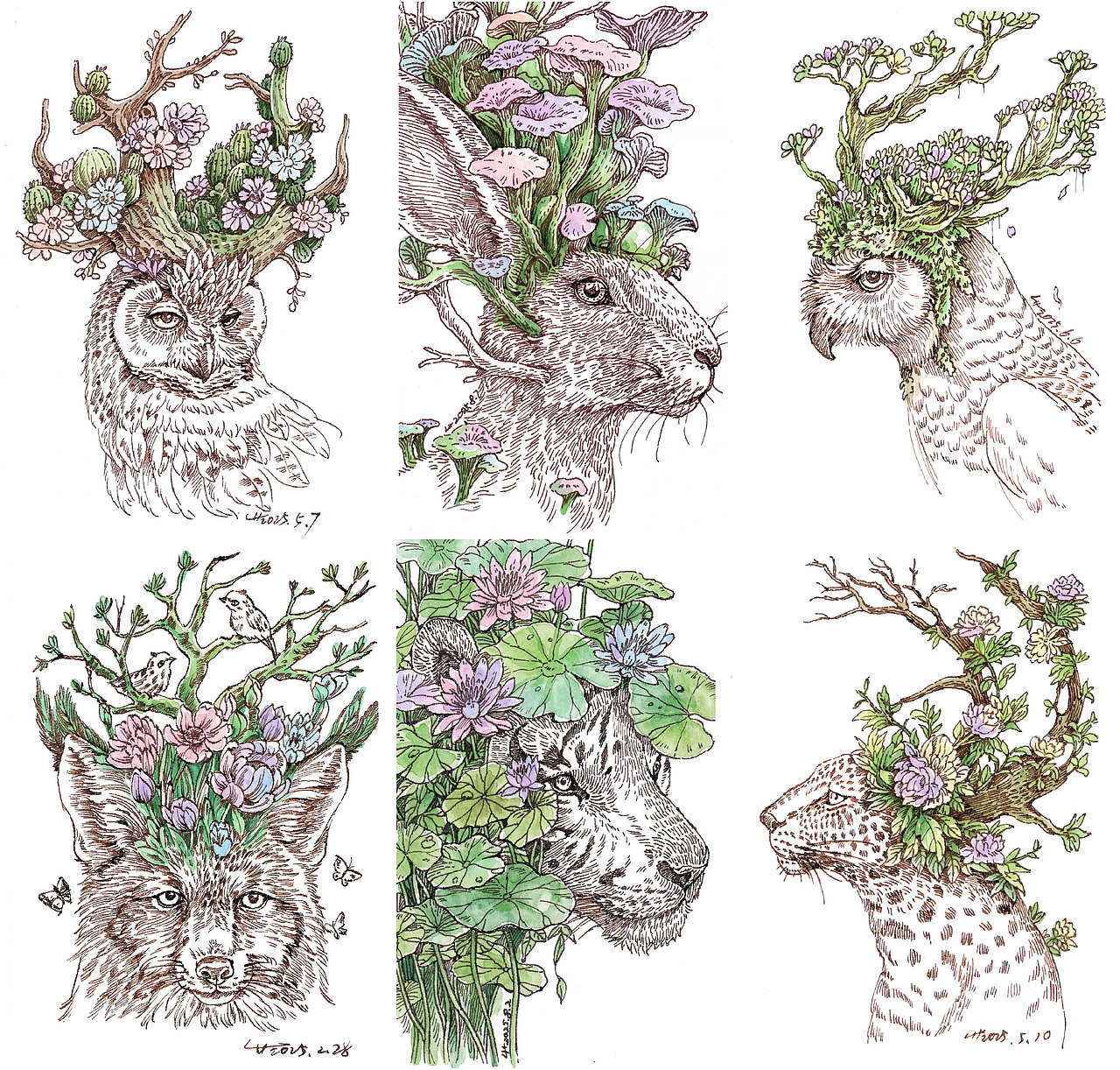 原创插画丨动植物共生系列（三）（图ZNDA1MDY2Mjg4） - 艺术插画 - 站酷设计师半毫米原创素材 - 站酷ZCOOL