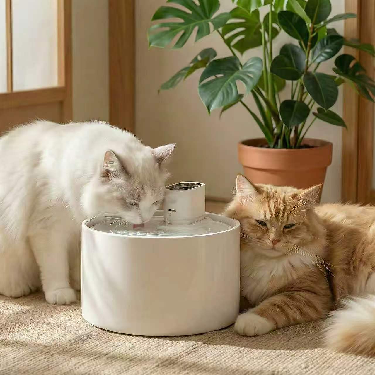 作品案例/宠物饮水机（图ZNDA1MDgxMDgw） - 宠物摄影 - 站酷设计师东莞家具产品摄影原创素材 - 站酷ZCOOL