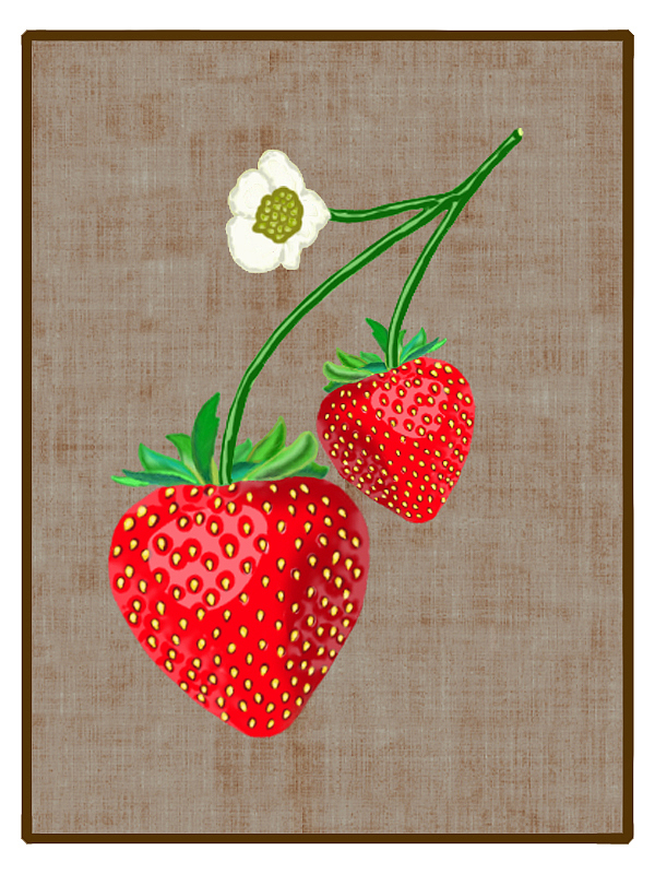 草莓（图ZNDA1MDgzNjA4） - 创作习作 - 站酷设计师鹿幽幽原创素材 - 站酷ZCOOL