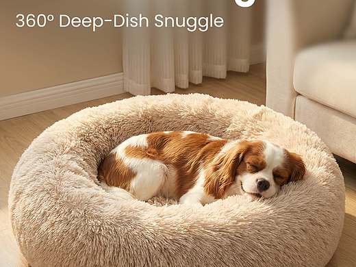 亚马逊套图(AI创作）（个人主页-ZNzM0MTUwMjg=） - AI作品 - 站酷设计师Joyjoy_Joys原创素材 - 站酷ZCOOL