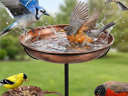 亚马逊套图AI创作（个人主页-ZNzM0MTUwNDQ=） - AI作品 - 站酷设计师Joyjoy_Joys原创素材 - 站酷ZCOOL