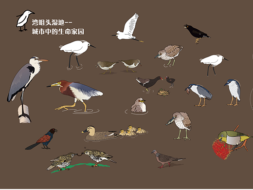 广州市湾咀头湿地公园导视及科普解说牌设计