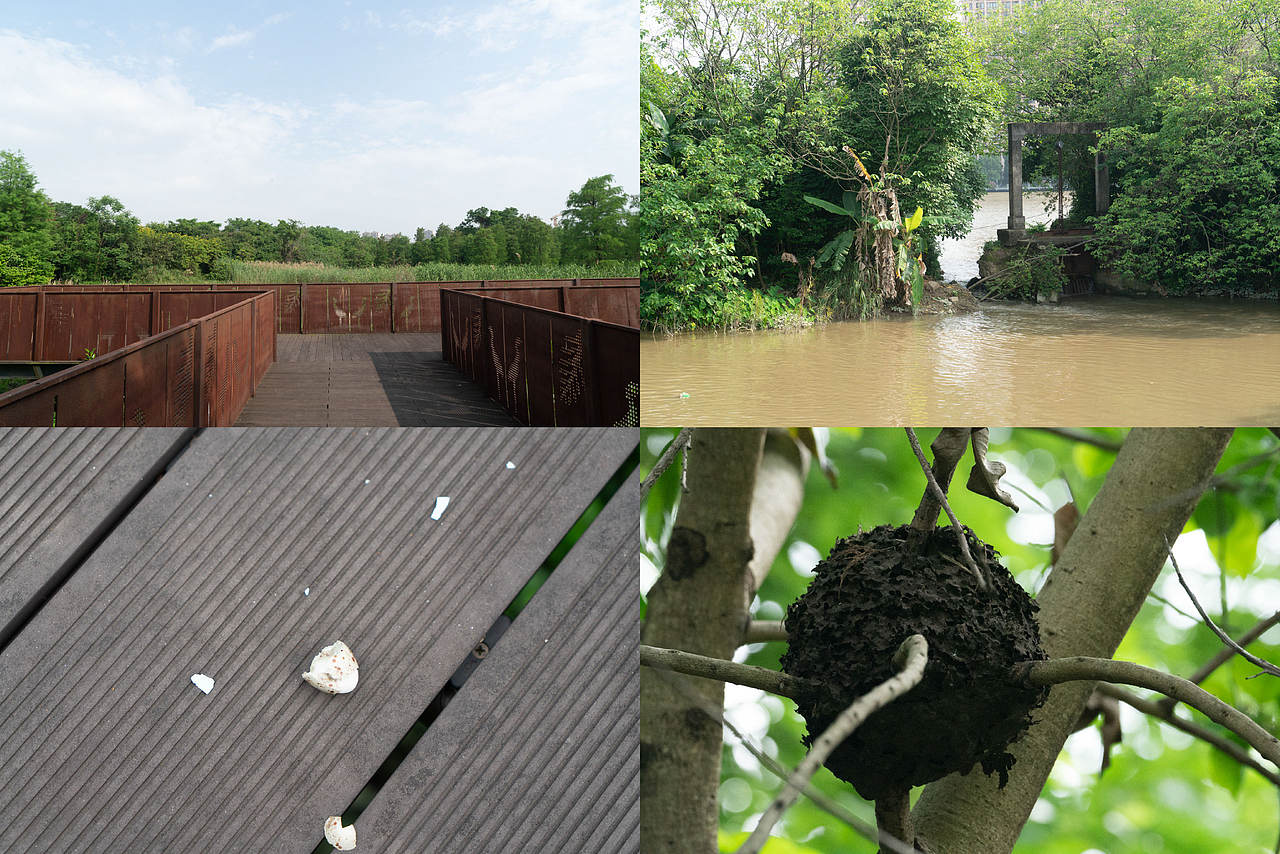 广东省广州市湾咀头湿地公园导视及科普解说牌设计（图ZNDA1MTE4NzY0） - 宣传物料 - 站酷设计师tofu豆腐原创素材 - 站酷ZCOOL