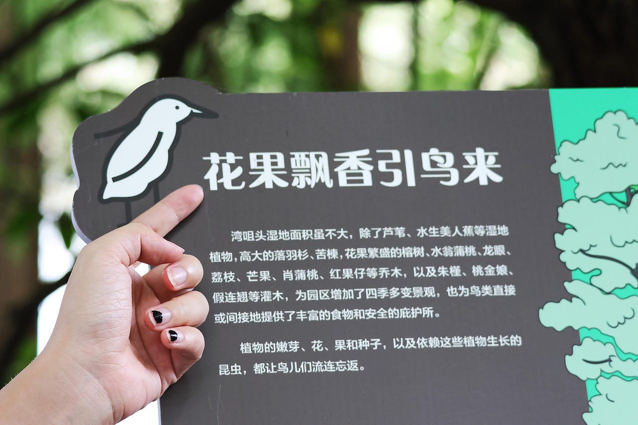 广东省广州市湾咀头湿地公园导视及科普解说牌设计（图ZNDA1MTE4OTYw） - 宣传物料 - 站酷设计师tofu豆腐原创素材 - 站酷ZCOOL