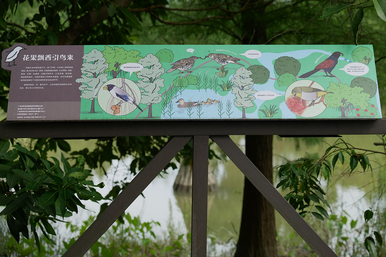广东省广州市湾咀头湿地公园导视及科普解说牌设计（图ZNDA1MTE4OTky） - 宣传物料 - 站酷设计师tofu豆腐原创素材 - 站酷ZCOOL