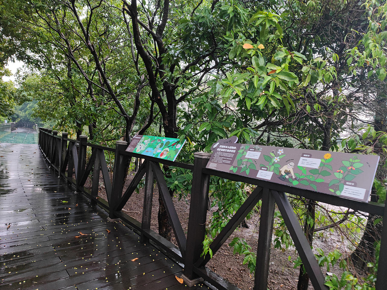 广东省广州市湾咀头湿地公园导视及科普解说牌设计（图ZNDA1MTE4OTg4） - 宣传物料 - 站酷设计师tofu豆腐原创素材 - 站酷ZCOOL