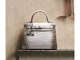 广州鳄鱼皮女包高级感场景案例/女包形象片