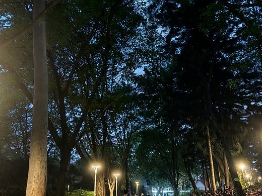 广州天河公园｜暮色里的治愈步道🌿